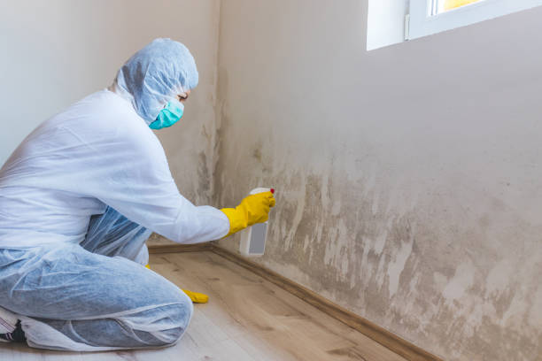 Mold inspector in Alexandria performing thermal imaging